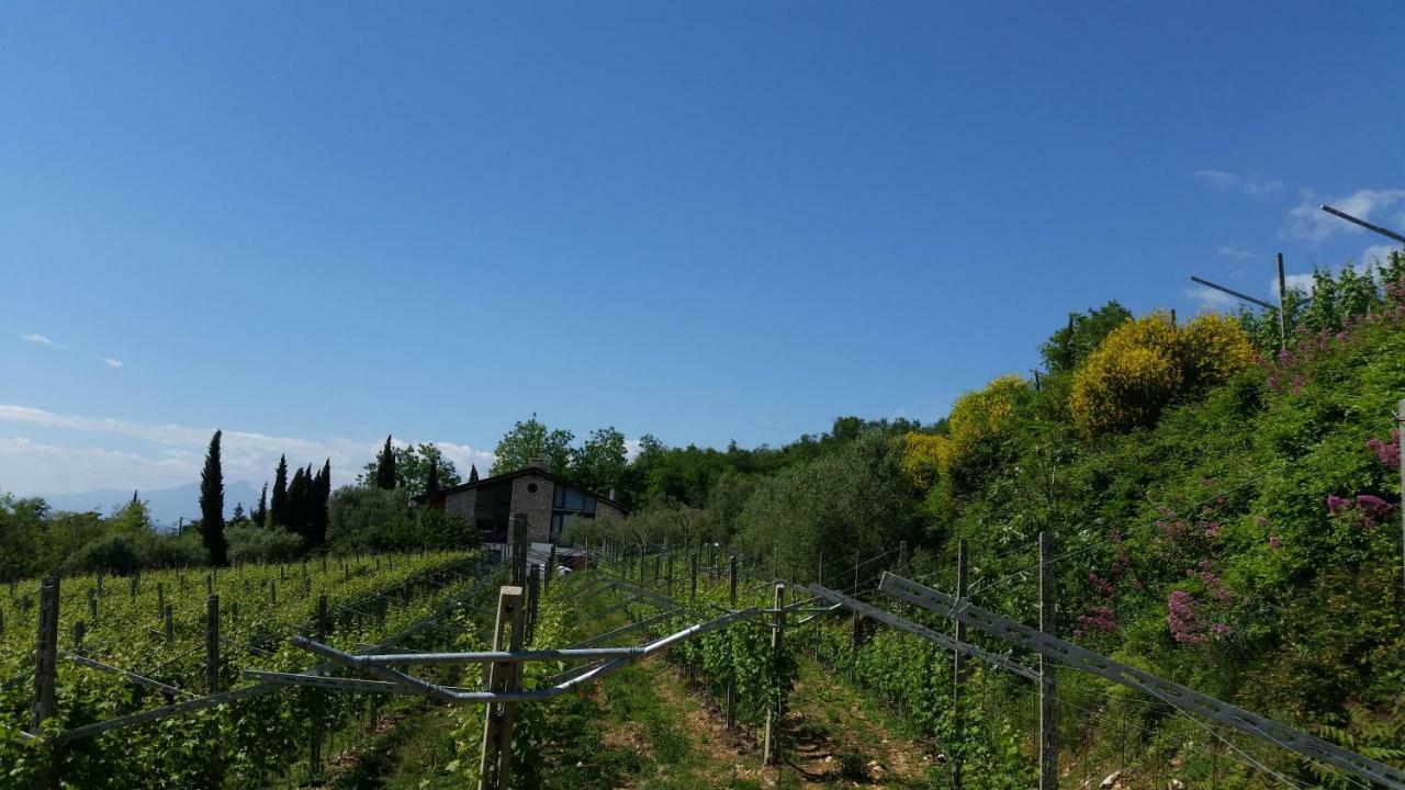 "Cortela" Appartameni In Villetta Singola Sant'Ambrogio di Valpolicella Eksteriør billede