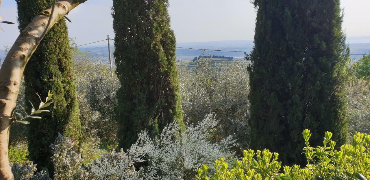 "Cortela" Appartameni In Villetta Singola Sant'Ambrogio di Valpolicella Eksteriør billede