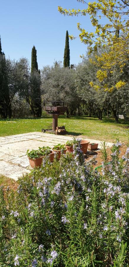 "Cortela" Appartameni In Villetta Singola Sant'Ambrogio di Valpolicella Eksteriør billede